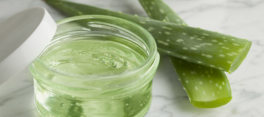 aloe vera